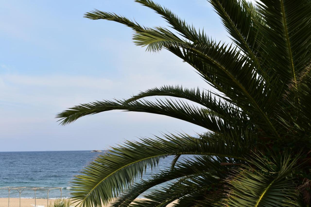 Marinis Boutique Rooms Nea Iraklitsa Exteriér fotografie